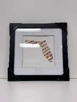 Baseball Seams - Picture Frame / State of FL Design